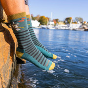 Pánské ponožky Darn Tough Wild Life Crew Lightweight With Cushion