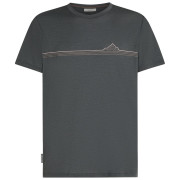 Pánské triko Icebreaker Men Merino 150 Tech Lite SS Tee Range Stripes