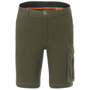 Pánské kraťasy Regatta Bendrick Shorts