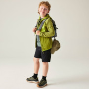 Dětská bunda Dare 2b Expedition Midlayer GoldnCypress