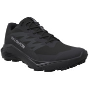 Dámské boty Salomon Alphaglide Gore-Tex
