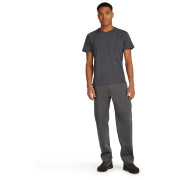 Pánské funkční triko Icebreaker M Mer 200 Waffle Elevation SS Tee