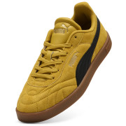 Sálovky Puma Club II Indoor Esd