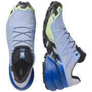 Pánské běžecké boty Salomon Speedcross 6 GTX Icon