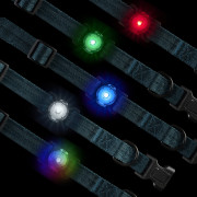 Světlo pro psa Nite Ize NiteDog™ Rechargeable Pet Light