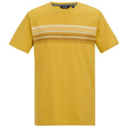 Pánské triko Regatta Rendro