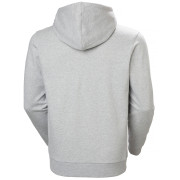 Pánská mikina Helly Hansen Core Graphic Hoodie