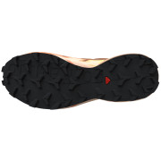 Dámské boty Salomon Speedcross 6 Gore-Tex