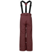 Dětské zimní kalhoty Dare 2b Outmove III Insulated Pant Huckleberry