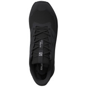 Dámské boty Salomon Alphaglide Gore-Tex