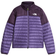 Dámská bunda The North Face W Terra Peak Jacket
