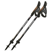 Nordic walking hole Fizan R-Evolution