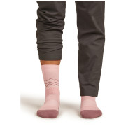 Dámské ponožky Icebreaker Women Merino Hike+ Medium Crew Across the Peaks