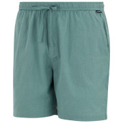 Pánské kraťasy Regatta Hadlin Shorts
