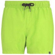 Pánské plavky Regatta Mawson Swim Shorts III