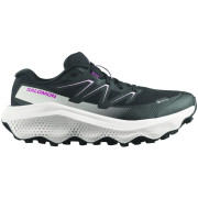 Dámské běžecké boty Salomon Ultra Flow 2 Gore-Tex