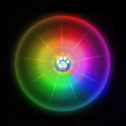 Hračka pro psa Nite Ize Flashflight® Dog Discuit™ LED Flying Disc