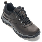 Pánské boty Regatta Holcombe Classic Low