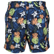 Pánské plavky Regatta Loras Swim Short m