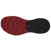 Pánské boty Salomon Pulsar