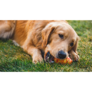 Hračka pro psa Ruffwear Gnawt-a-Cone™ Toy