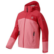 Dětská bunda Dare 2b Explore III Jacket Rpture/Clart