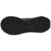 Dámské boty Salomon Alphaglide Gore-Tex
