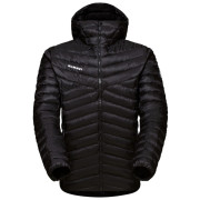 Pánská bunda Mammut Albula IN Hooded Jacket Men