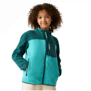 Dětská funkční mikina Regatta Junior Frankie Warm Fleece Mediterranea/Turquoise