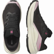 Dámské boty Salomon Genesis 2 Gtx W