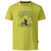 Dětské triko Dare 2b Amuse III Tee Frgle Sprout