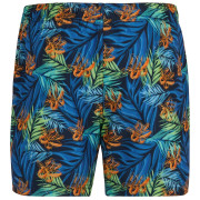 Pánské plavky Regatta Loras Swim Short