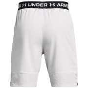 Pánské kraťasy Under Armour Vanish Woven Shorts