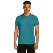 Pánské funkční triko Icebreaker Men Merino 150 Tech Lite III SS Tee