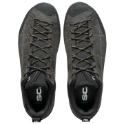 Pánské boty Scarpa Zodiac Gtx