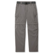 Pánské kalhoty Columbia Silver Ridge™ Utility Convertible Pant