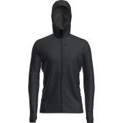 Pánská funkční mikina Icebreaker M Mer 260 Quantum IV LS Zip Hoodie