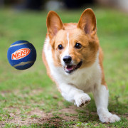 Hračka pro psa Nerf Dog Squeak Tennis Balls 3 pcs