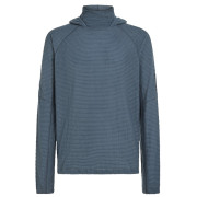 Pánská mikina Icebreaker Men Mer 400 RealFleece Grid Pulover Hood
