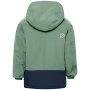 Dětská zimní bunda Didriksons Talvi Kids Jkt 2 Dark Moss