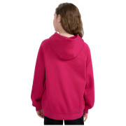 Dětská mikina 4F Sweatshirt F1934