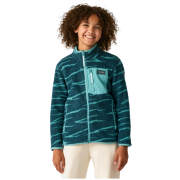 Dětská funkční mikina Regatta Junior Frankie Warm Fleece Mediterranea Zebra