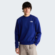 Pánská mikina The North Face M Evolution Box Nse Regular Crew
