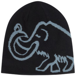 Čepice Mammut Mammut Logo Beanie Reversible