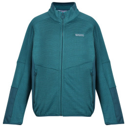 Dětská mikina Regatta Highton WtrFZ III