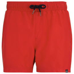 Pánské plavky Regatta Mawson Swim Shorts III