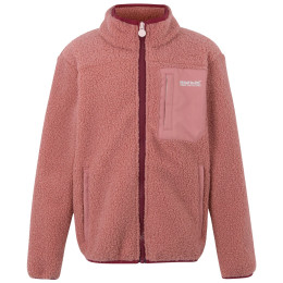 Dětská mikina Regatta Junior Frankie Warm Fleece