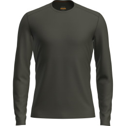 Pánské triko Icebreaker Mens 200 Oasis LS Crewe