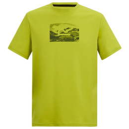 Pánské triko Regatta Fingal