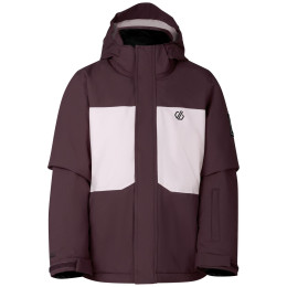 Dětská bunda Dare 2b Send It II Jacket Hucklbr/PkHz